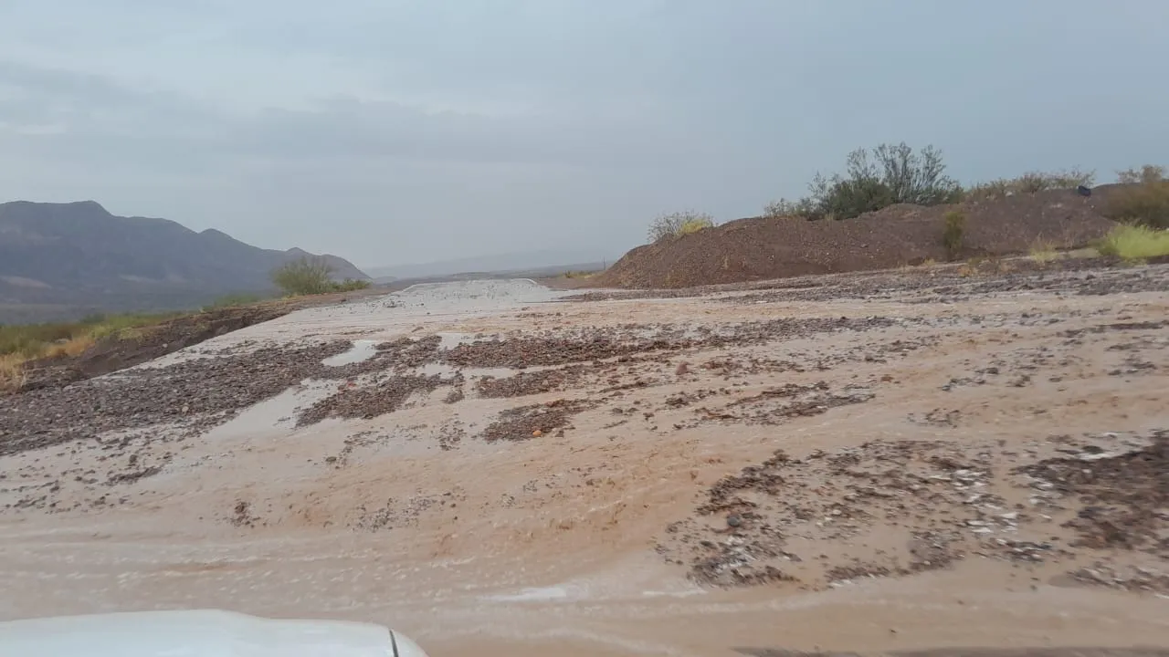 WhatsApp Image 2025-01-11 at 13.18.23