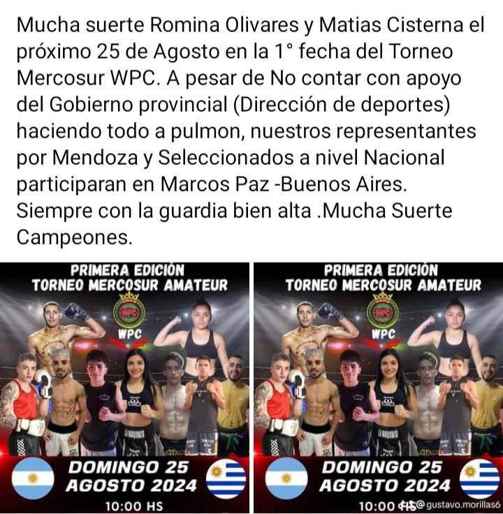 Boxeo, Torneo Mercosur Amateur