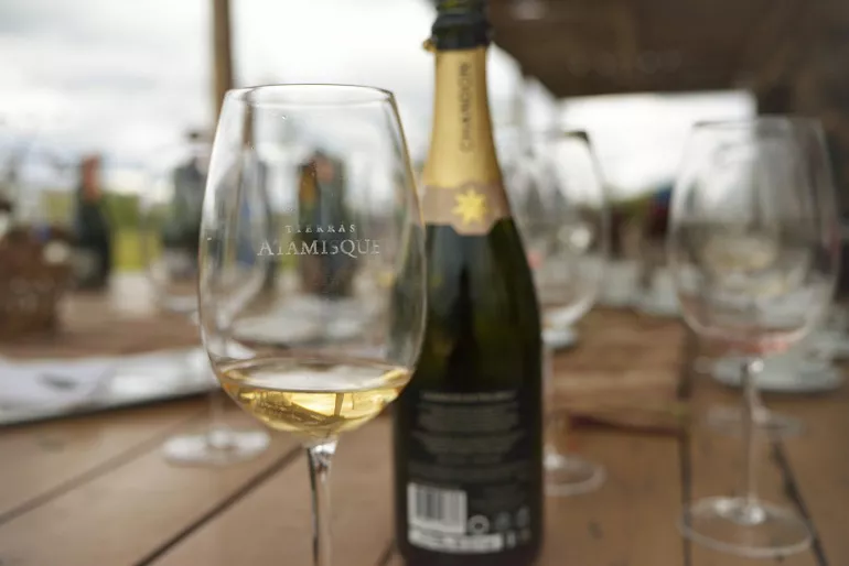 Ruta de las burbujas (3)