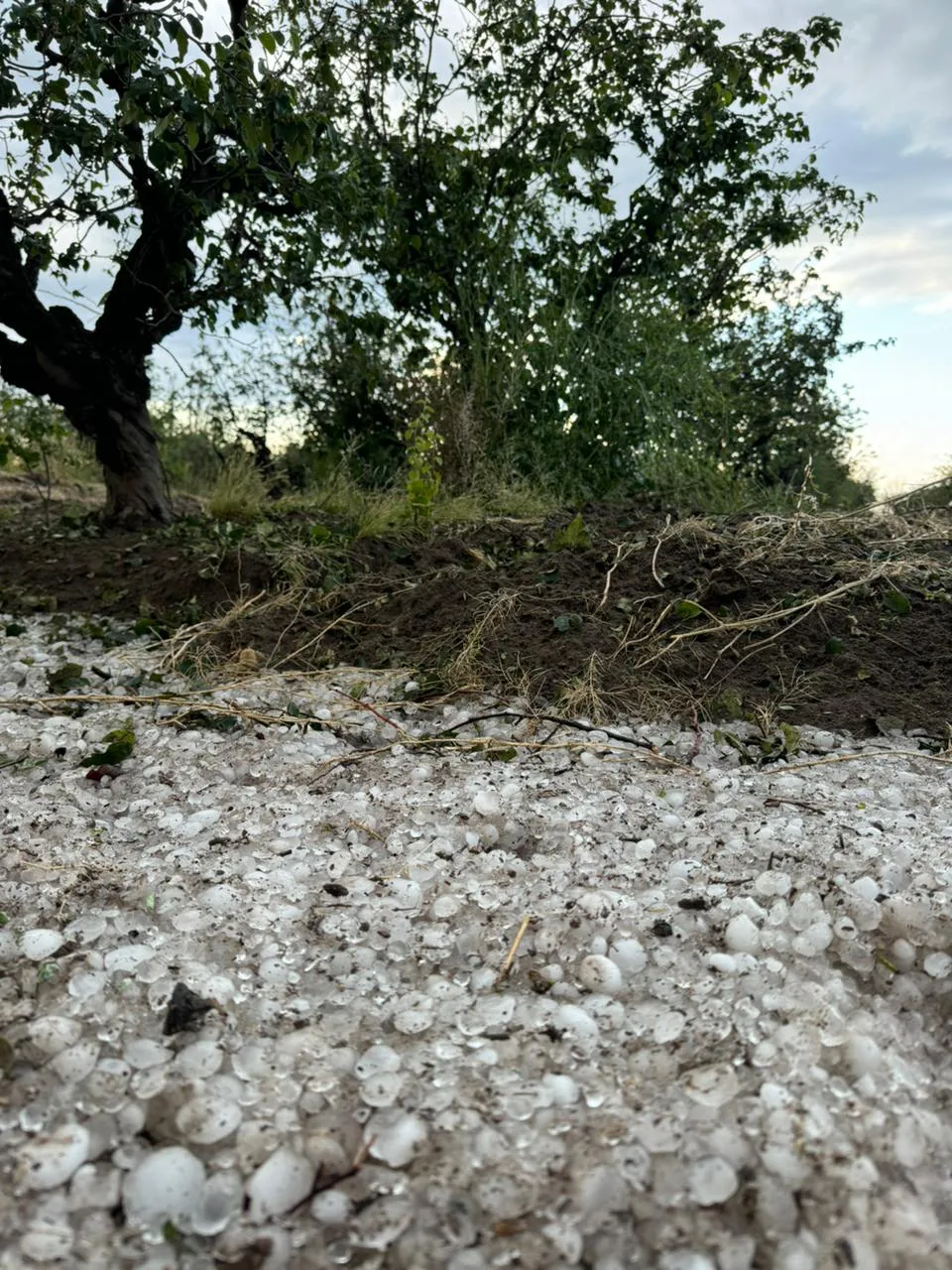 Piedra San Rafael 1112024