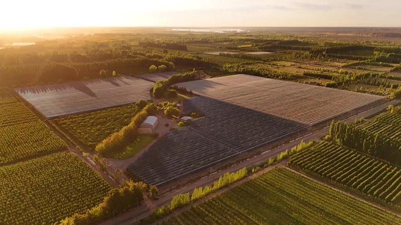 mallas fotoselectivas 2