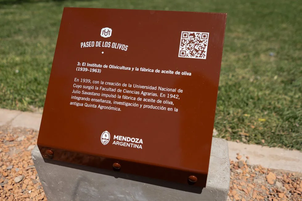 paseo de los olivos