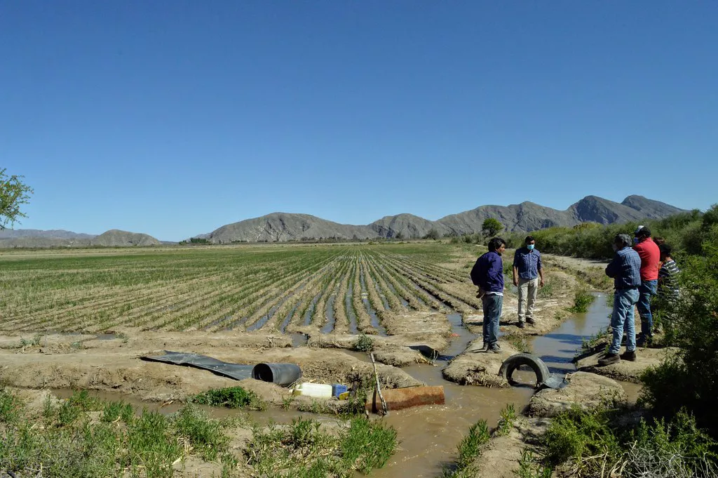 sanjuan_mineria_agro