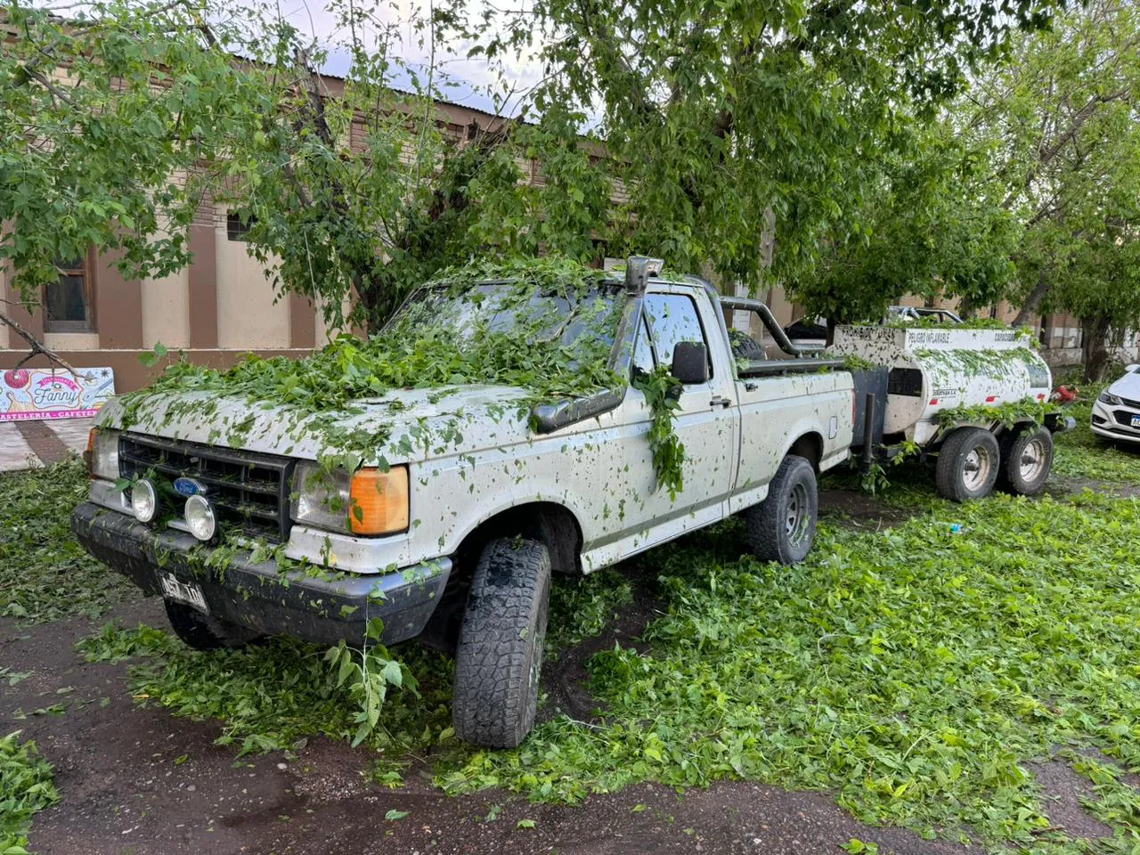 Piedra San Rafael 1112024