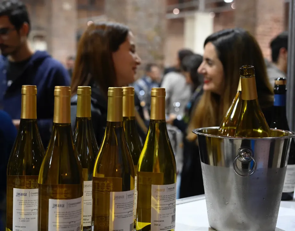 inauguracion-espacio-arizu-godoy-cruz-aniversario-168-7