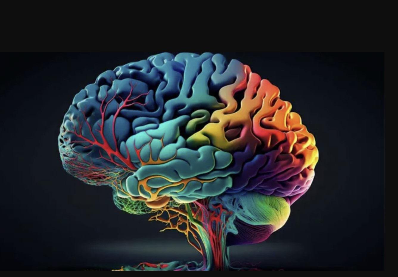 día del cerebro 2
