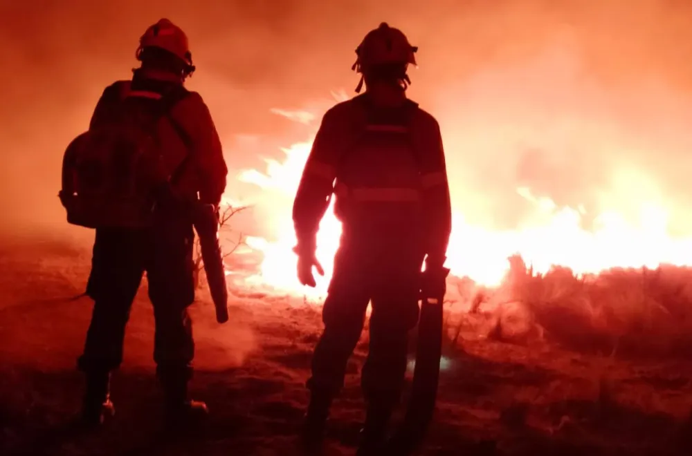 brigadistas san luis