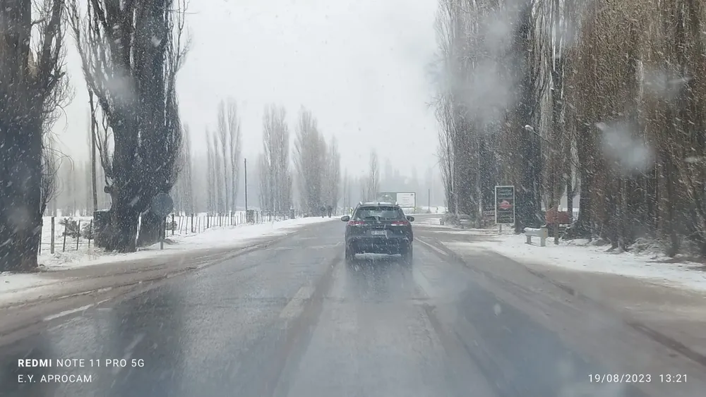 WhatsApp Image 2023-08-19 at 13.51.53 (1)