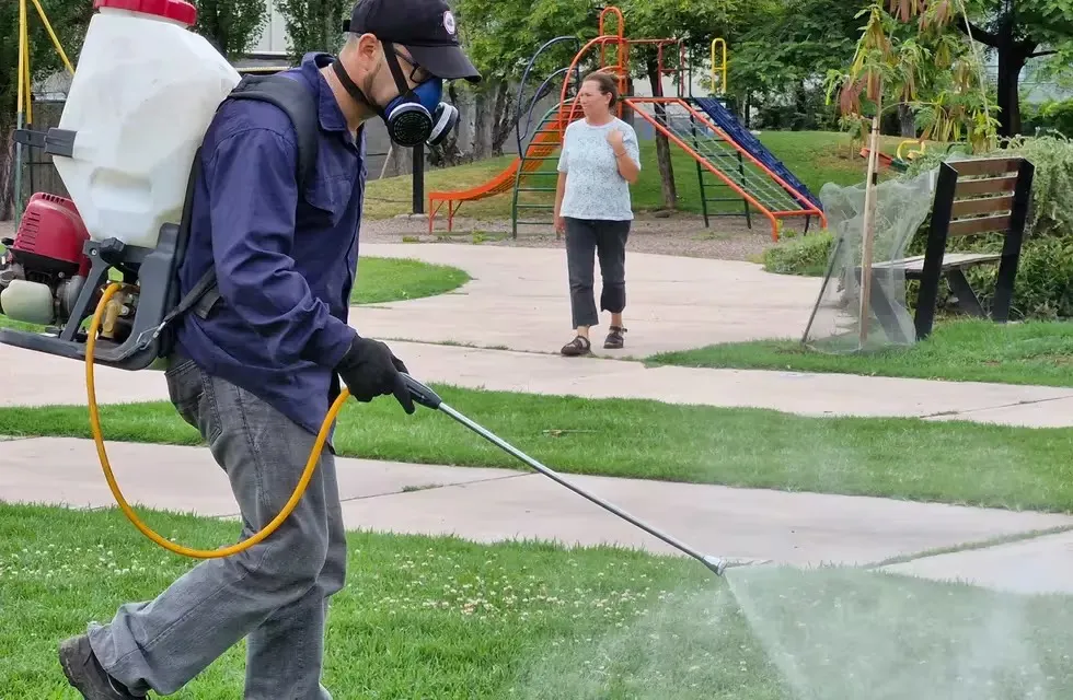 Prevención dengue Maipú 3