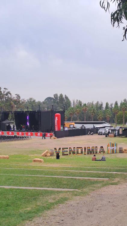 Vendimia del Valle del Maipo 2024