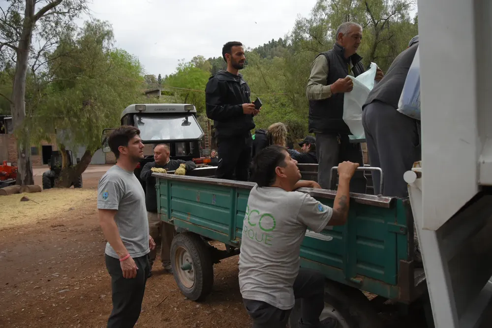 lucy tigresa de bengala (5)