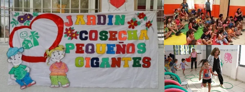 jardines san juan cosecha