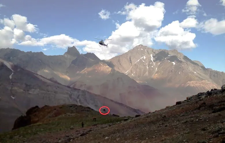 d6cb8af7-9603-46db-9dea-a864daa5c5e0