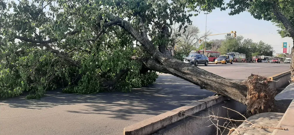 WhatsApp Image 2023-10-29 at 8.55.05 AM