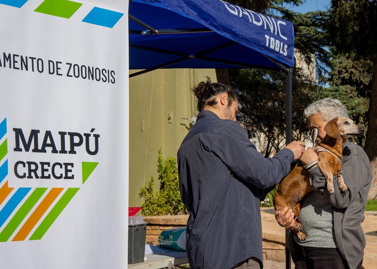 Vacunación Maipú 2