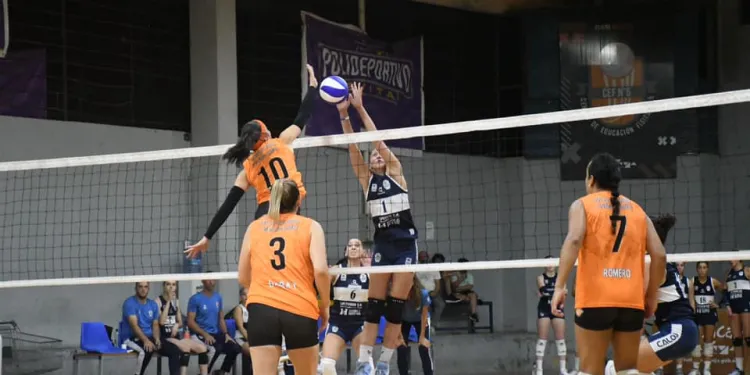 Voley, Liga Federal, rama femenina