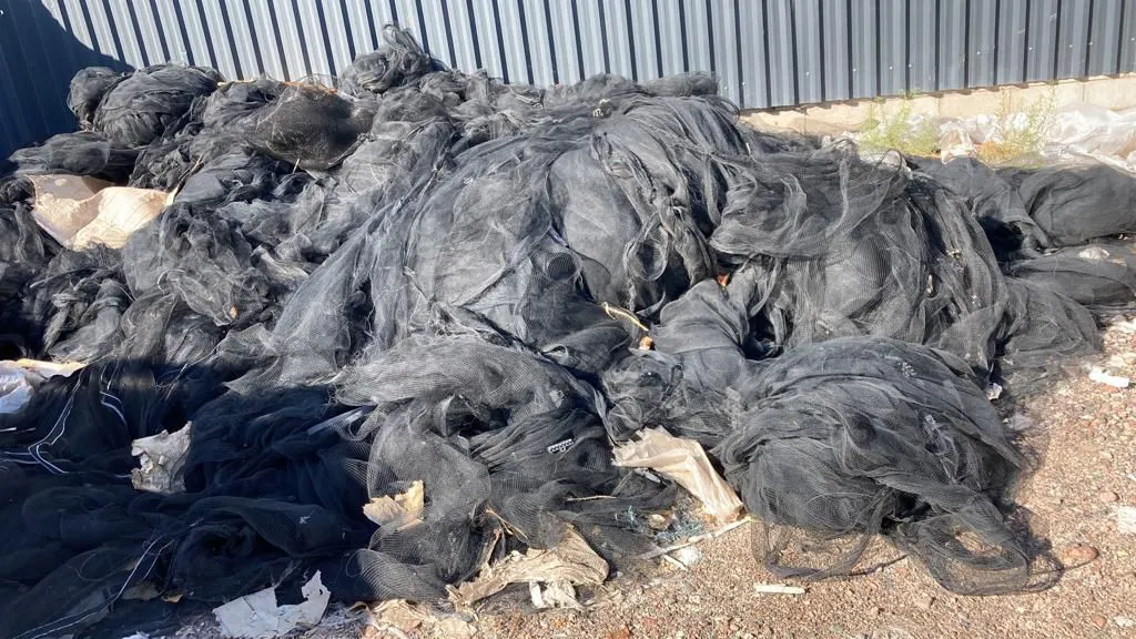 PHOTO-2023-12-28-15-11-33 3