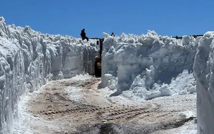 WhatsApp Image 2024-01-10 at 2.01.47 PM