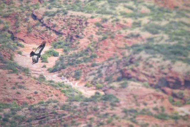 PO-Sierra-de-Las-Quijadas-VI