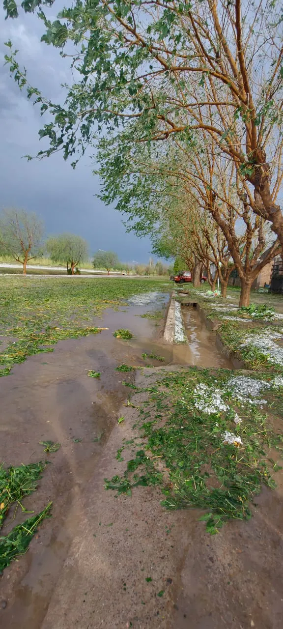 WhatsApp Image 2025-01-23 at 9.49.14 PM