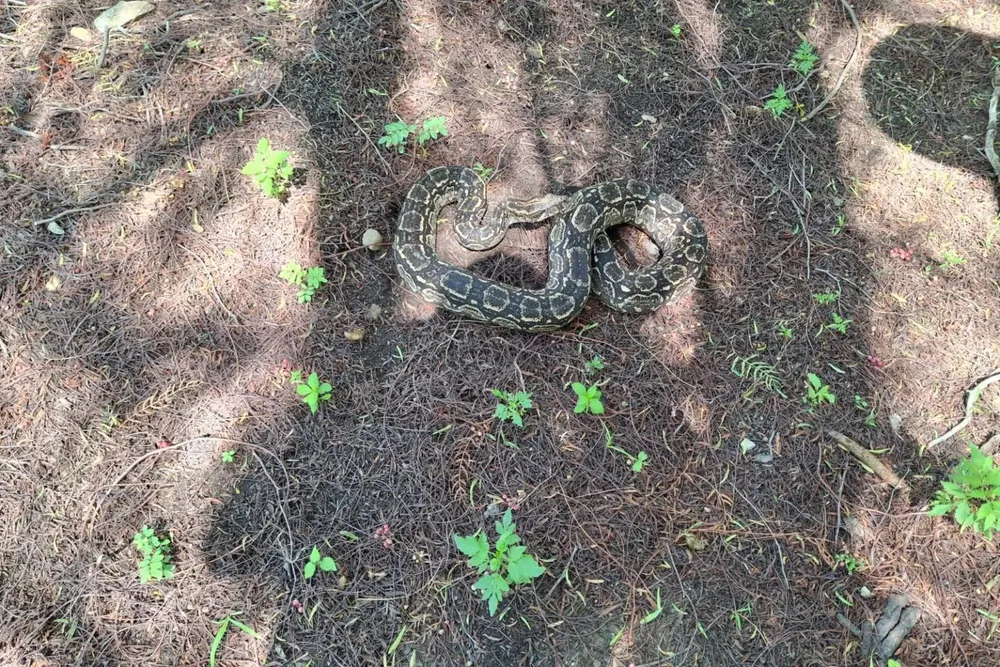 WhatsApp-Image-2026-01-14-at-11.55.48-AM-7-1536x1024