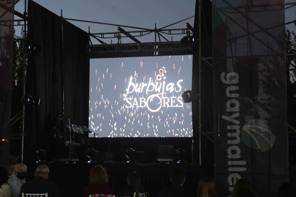 Música clásica por los caminos del vino (14)