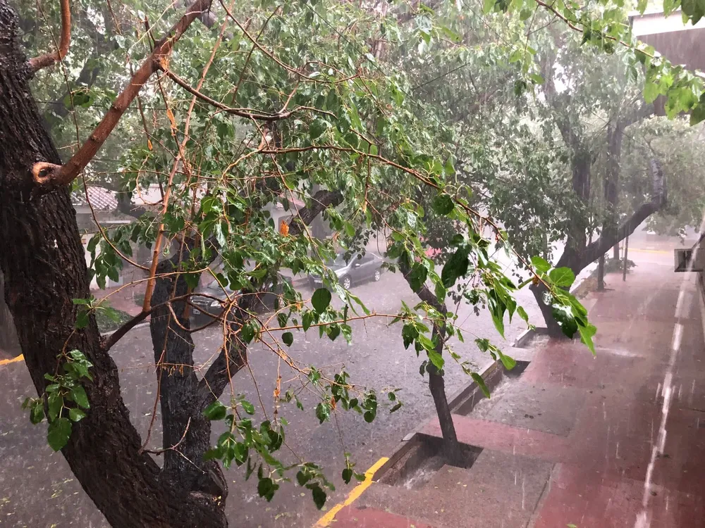 WhatsApp Image 2026-01-30 at 4.59.52 PM