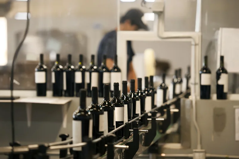bodega mza vineyards 2