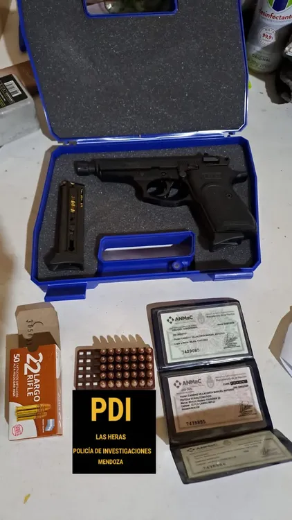 pdi1