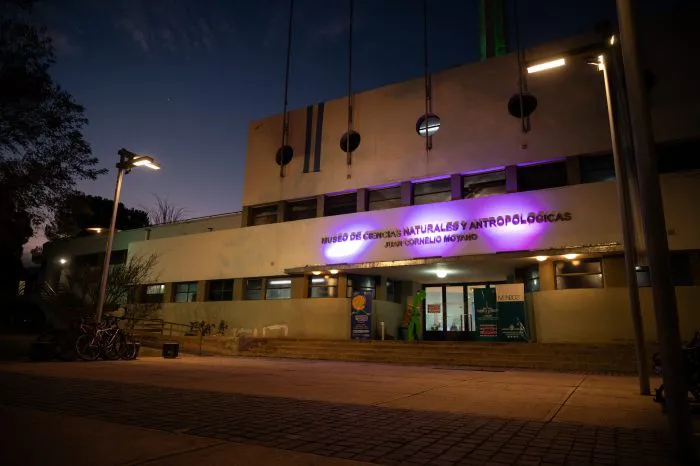 LA7_0259-700x466