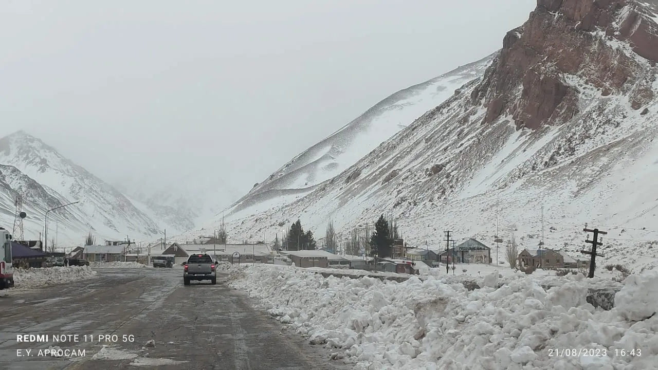 WhatsApp Image 2023-08-21 at 18.59.46