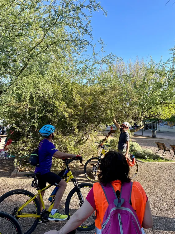pedaleada biodivers urbana 5