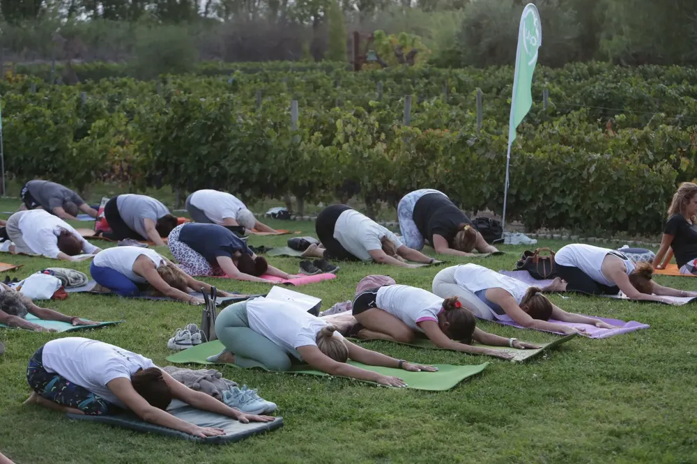 Yoga por los Caminos del Vino (4)
