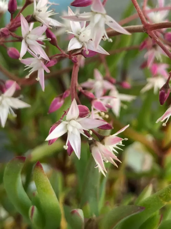 WhatsApp Image 2025-09-18 at 11.59.48 (3)