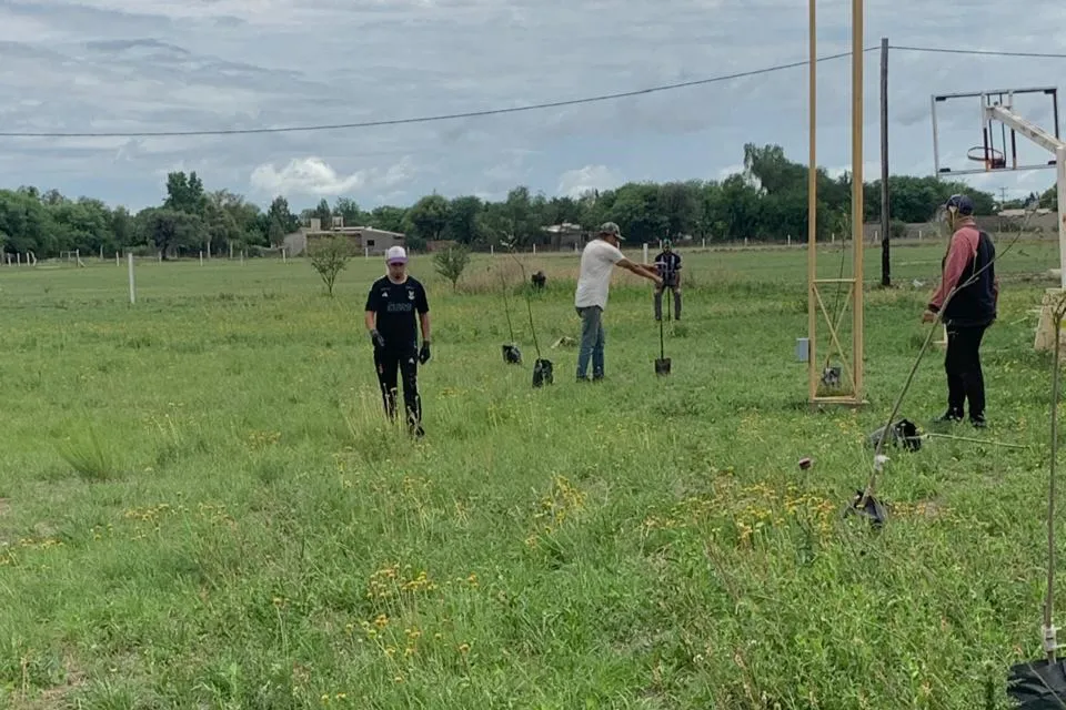 forestacion quines 2