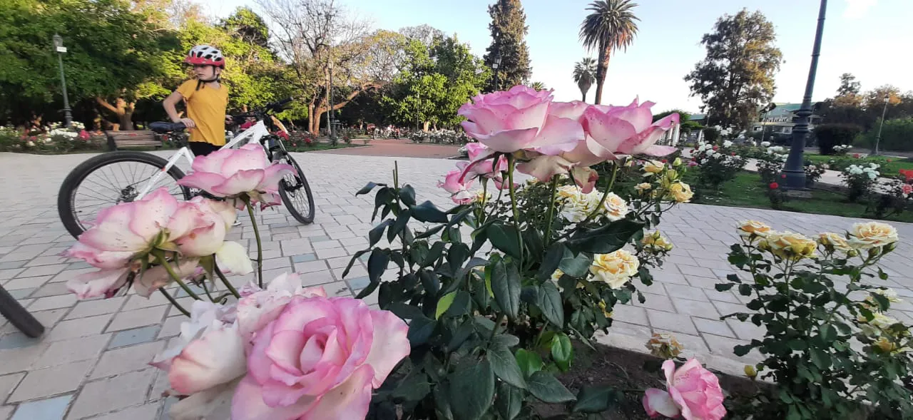 WhatsApp Image 2023-10-27 at 23.36.26