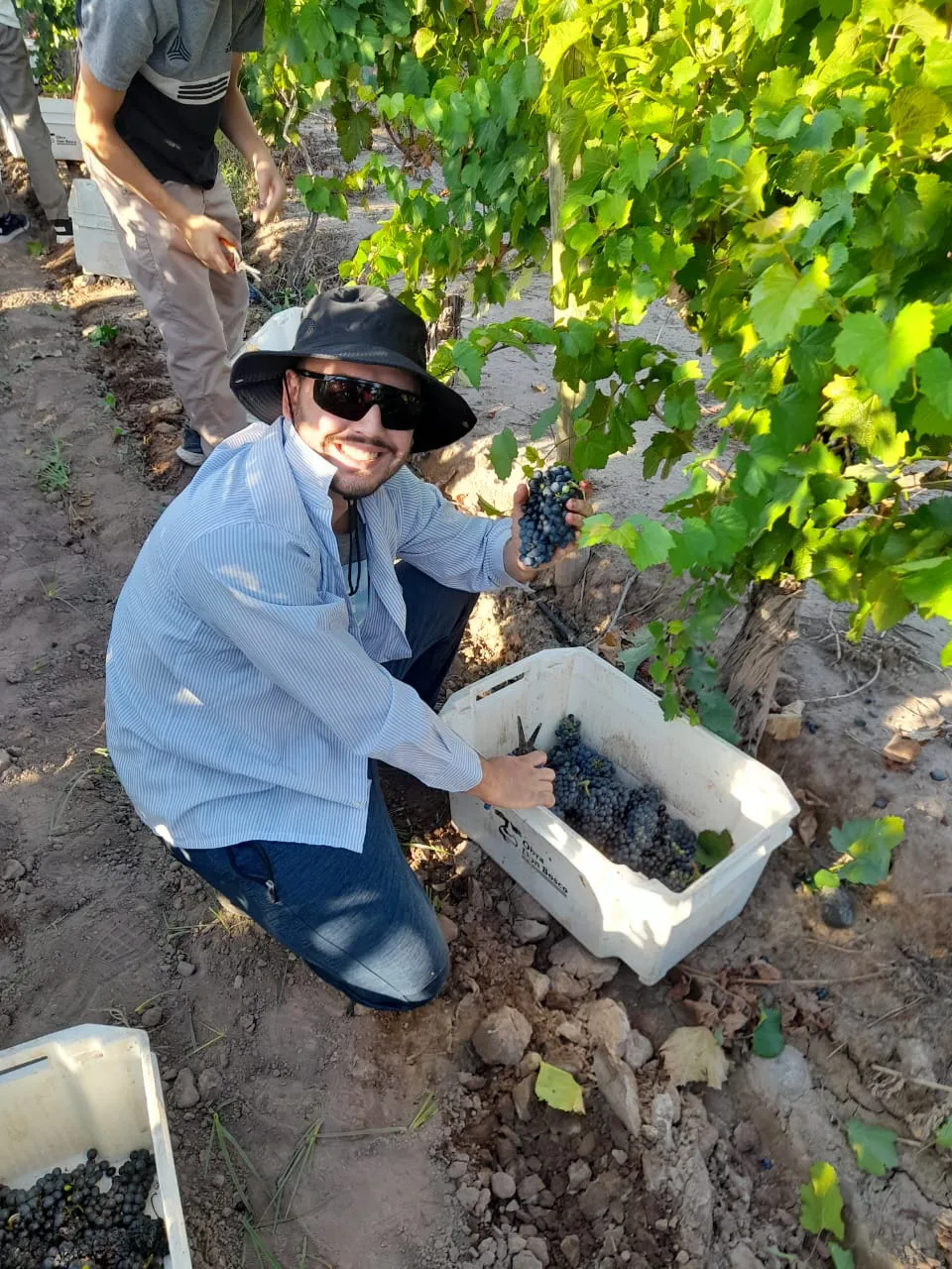 formacion vitivinicola escuelas (15)