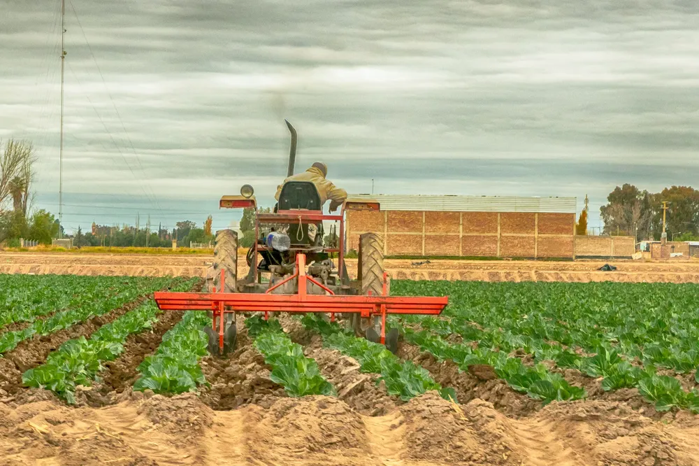 Maipú agrícola