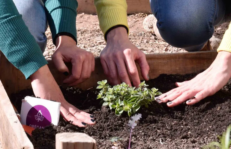 huerta-godoy-cruz-manos-en-tierra-godoy cruz