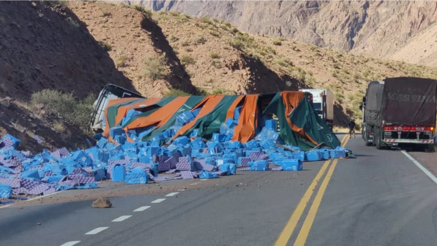 WhatsApp Image 2026-02-26 at 7.33.09 PM