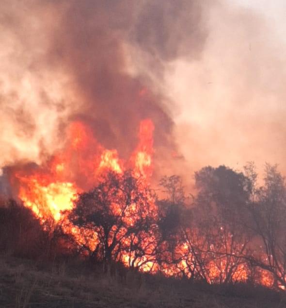 incendios forestales balde de escudero / san luis
