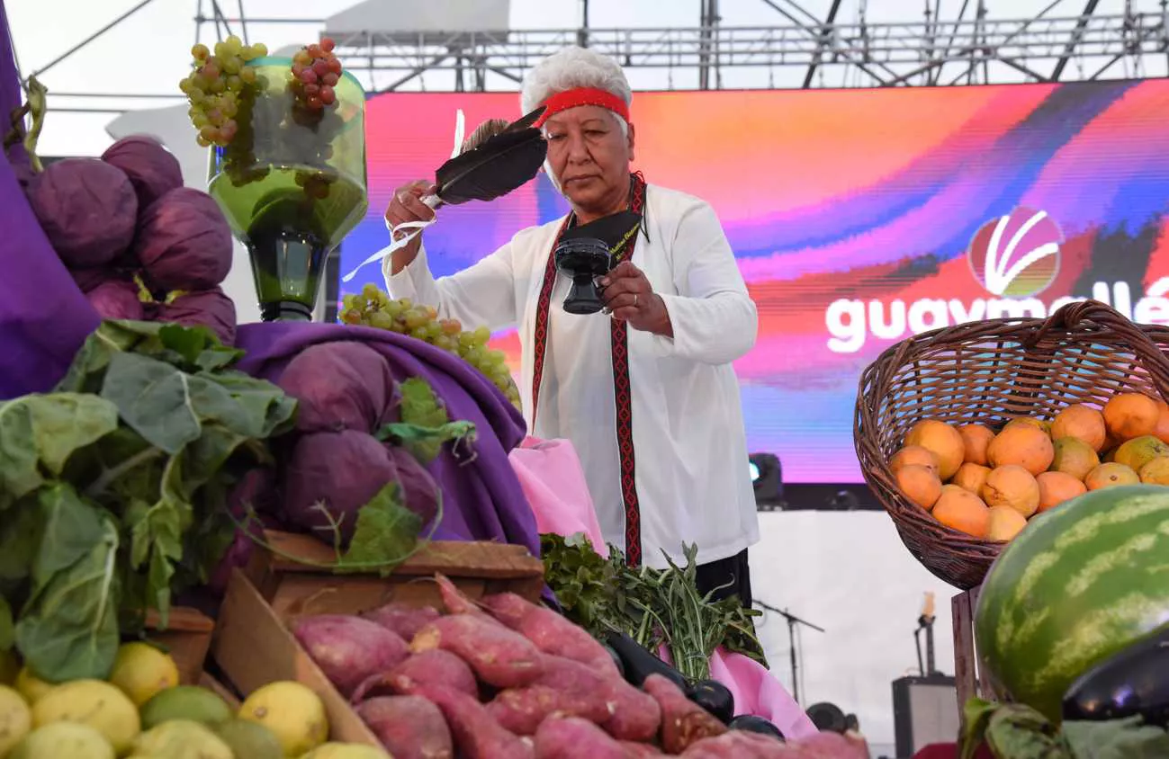 Vendimia Guaymallén 2022 (29)