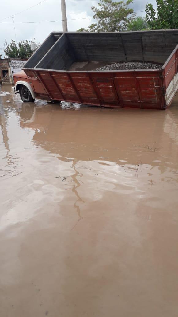 WhatsApp Image 2021-03-01 at 21.59.54