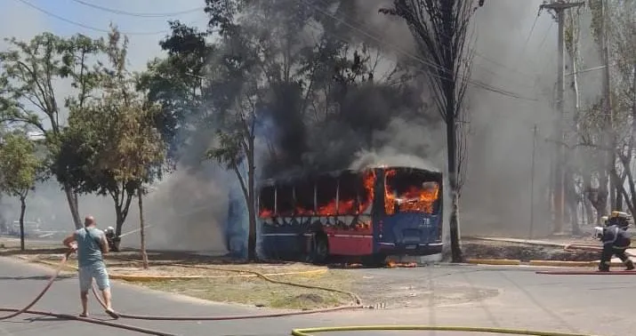 WhatsApp Image 2024-12-14 at 6.53.59 PM