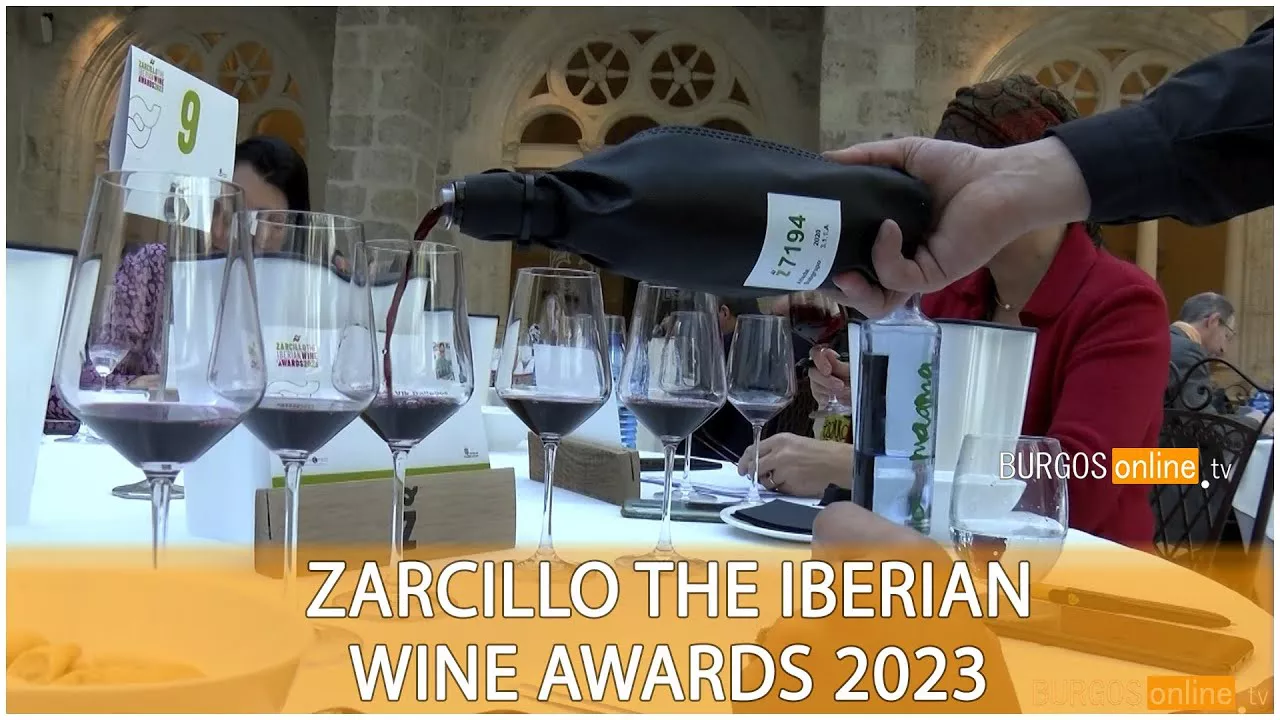 premios Zarcillo (3)