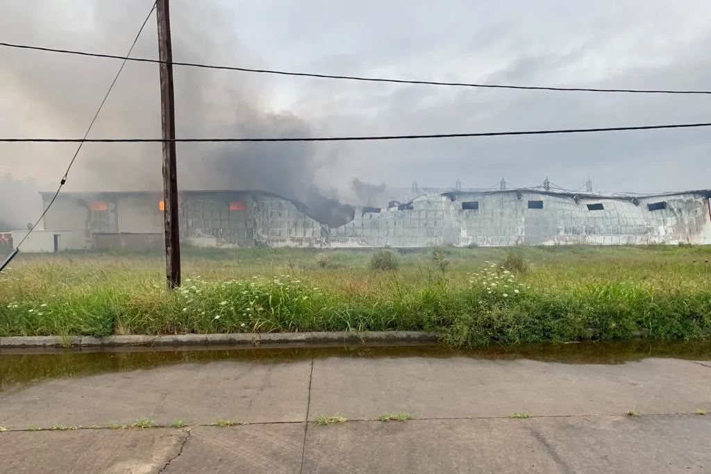 WhatsApp-Image-2023-12-27-at-12.35.39