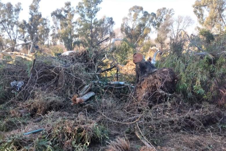 v mercedes carolinos 6