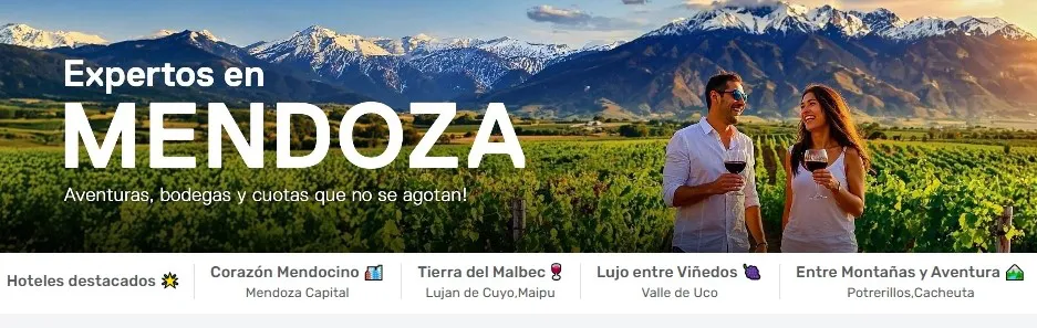 expertos en mendoza