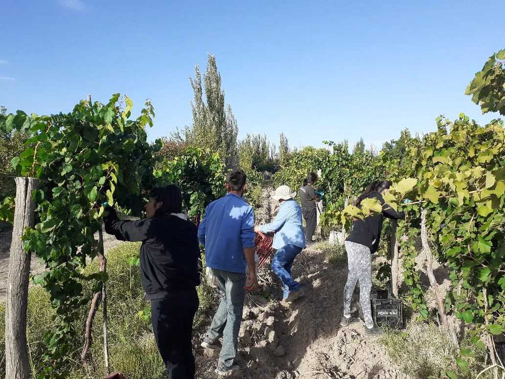 formacion vitivinicola escuelas (9)