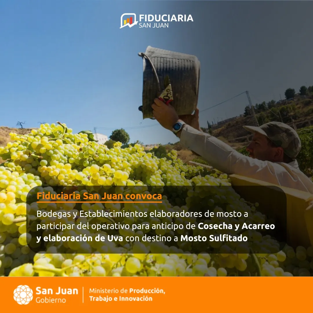 WhatsApp Image 2025-02-18 at 21.44.12